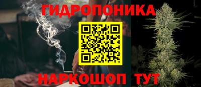 мдма Новозыбков