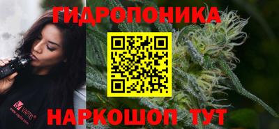 мдма Новозыбков