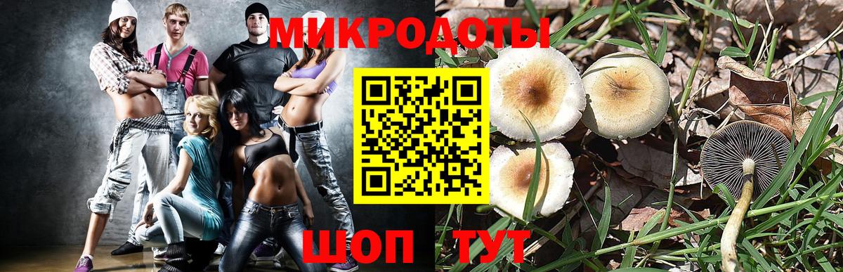Сыктывкар  Галлюциногенные грибы прущие грибы  Вход с VPN 